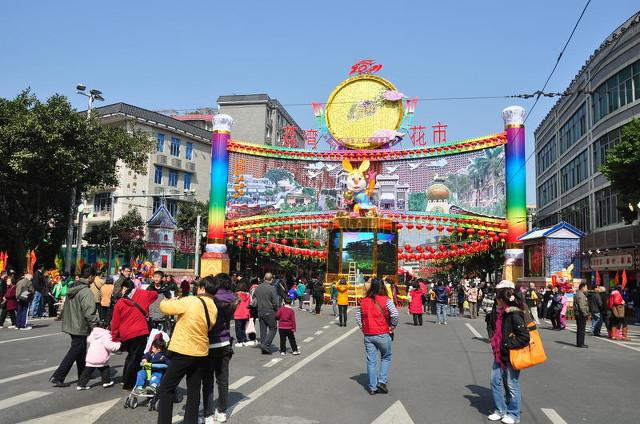 花卉绿植批发_花卉批发绿植市场在哪_花卉绿植批发市场