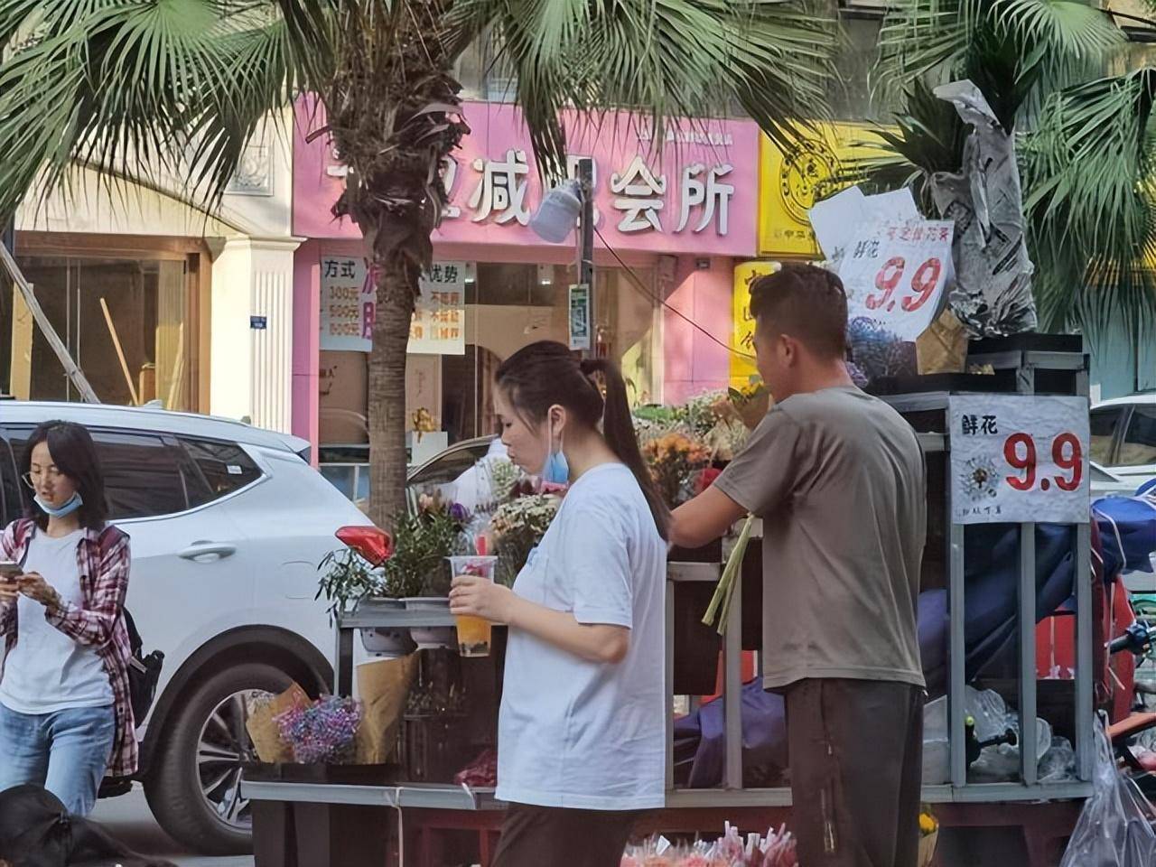 药锦多肉还能养活吗_常见药锦多肉_什么是药锦多肉