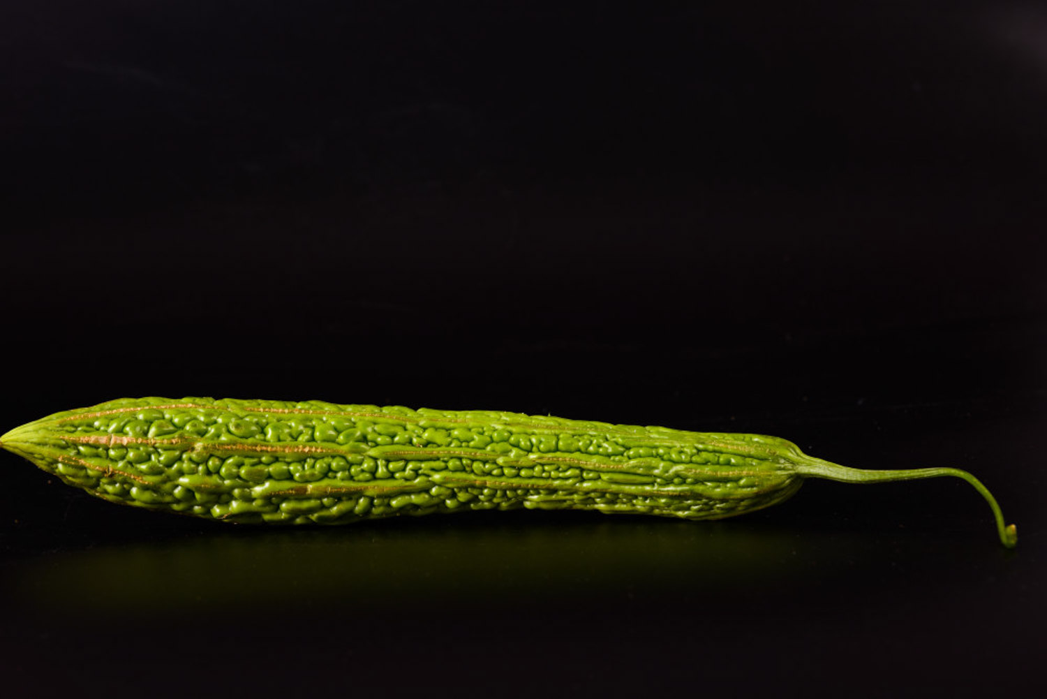 苦瓜种植时候好浇水吗_苦瓜什么时候种植最好_苦瓜种植期