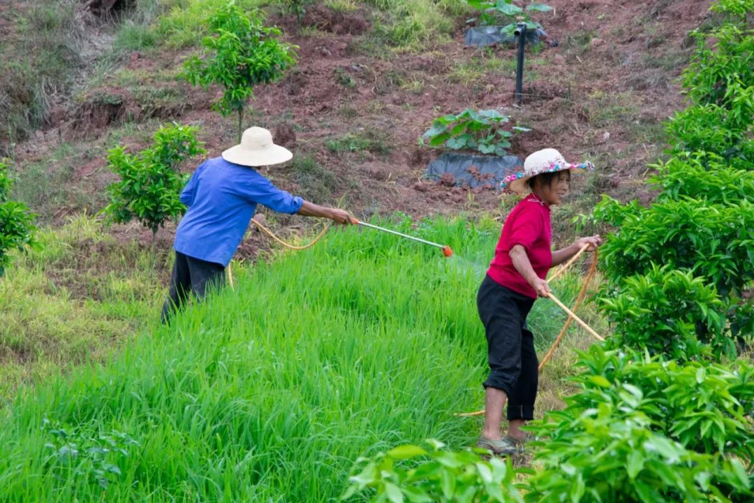 农药致死_农药必死的_必死的农药