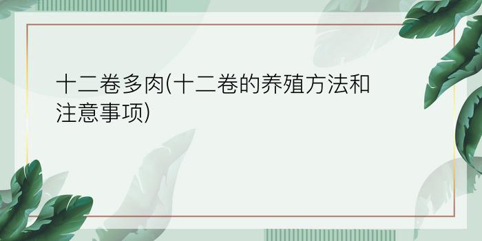 12卷多肉植物图片大全_多肉12卷图片_12卷多肉