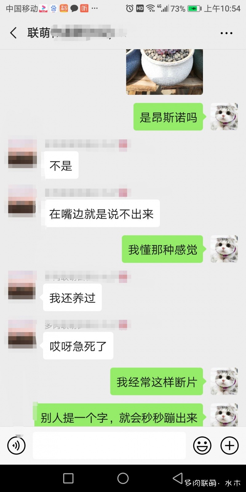 达摩宝珠多肉太高怎么办视频_多肉植物达摩宝珠_达摩宝珠多肉好养吗